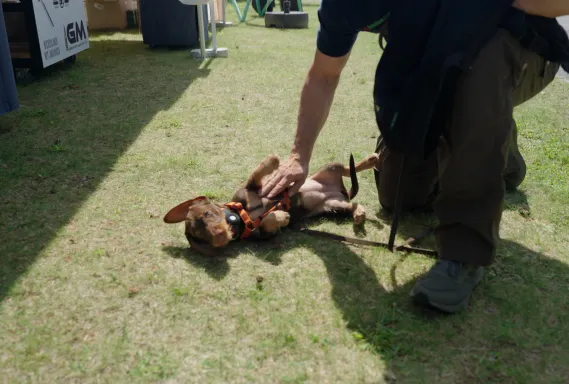 Ein Demobild der Veranstaltung